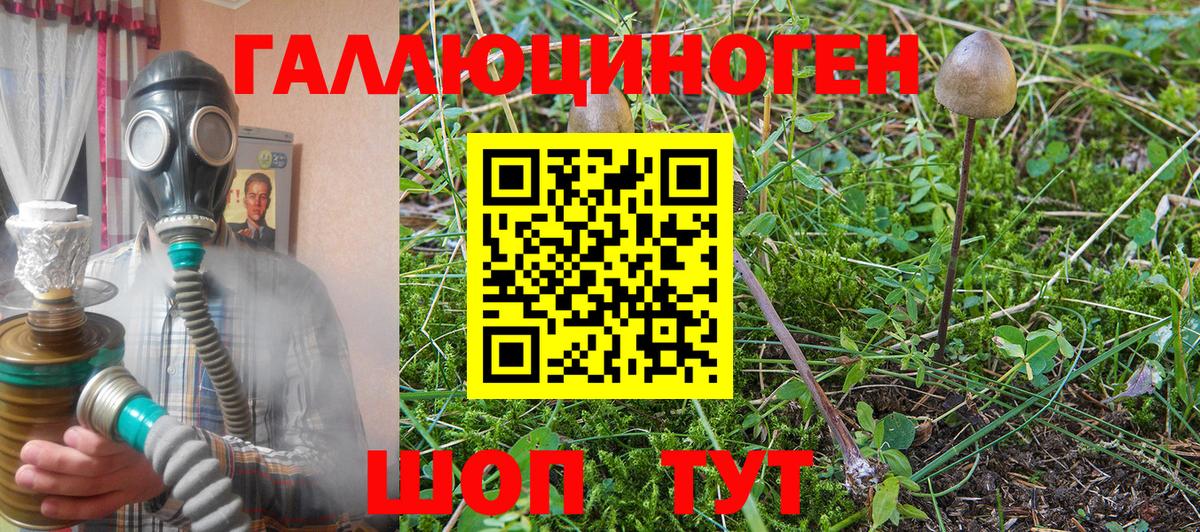 Псилоцибиновые грибы ЛСД  Галлюциногенные грибы Psilocybine cubensis  Вход с VPN  Саранск 