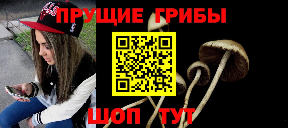 Псилоцибиновые грибы GOLDEN TEACHER Саранск